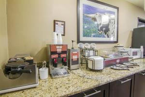 Hotel Comfort Inn & Suites Market Center