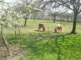 9 La Beauficerie Bed And Breakfast