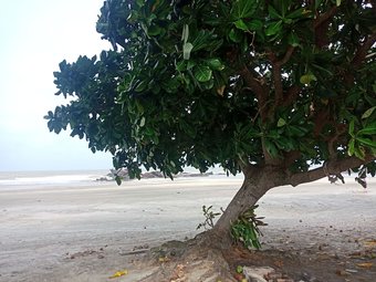 Hotel Gosh Desaru Bed Space