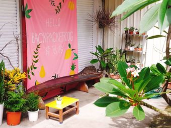 Hostal Dulan Backpacker Dog