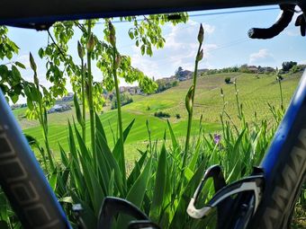 Apartamento La Maggiorina