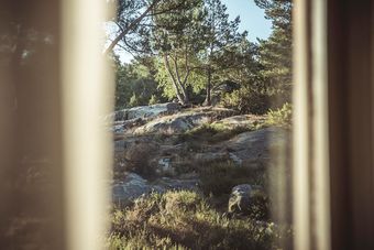 F�rj�s Yogaretreats B&B