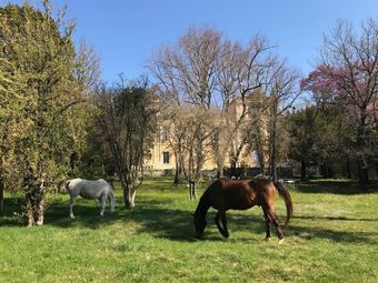 Bed & Breakfast La Colline Des Oliviers