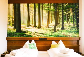 Guesthouse Pension Grafenstein