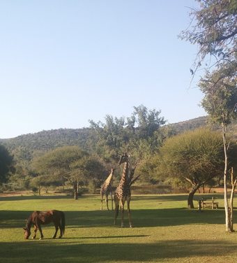 Hotel Thandile Country Lodge