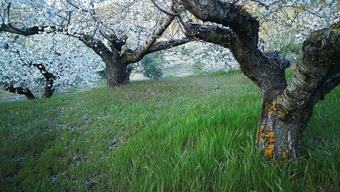 Agroturismo Casa Rural Arenaria