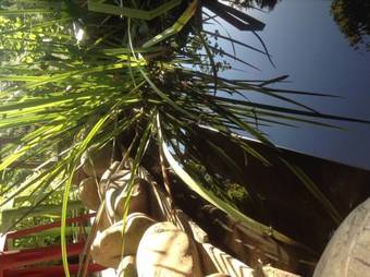 Bed & Breakfast La Demeure