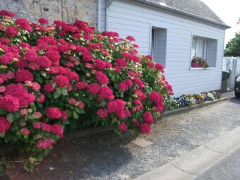 Apartment With One Bedroom In Saint-laurent-sur-mer, With Enclosed Garden And Wifi - 1 Km From The Beach