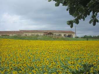 Bed & Breakfast Les Roffies