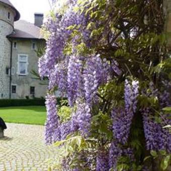 Apartamento Ch�teau De Thorens