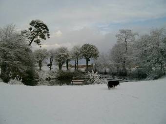 Bed & Breakfast Chambres D'hotes Ch�teau De La Puisaye