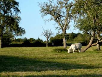Bed & Breakfast Domaine De La Fromagerie