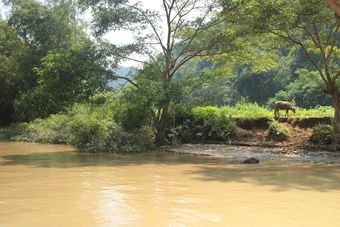 Hostal Tran Xuan Homestay