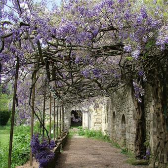 Bed & Breakfast Abbaye De Villelongue