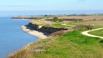 Apartamento Studio In Nieul-sur-mer, With Enclosed Garden And Wifi