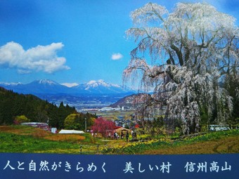 Hotel Guesthouse Nashimotoken