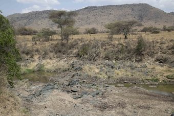 Asili Wilderness Camps