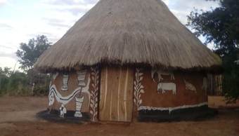 Ver fotos
