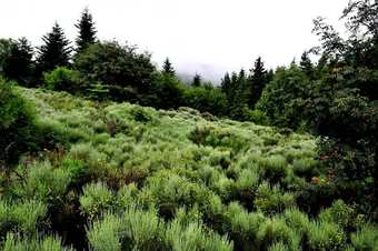 Apartment With 3 Bedrooms In P�lussin, With Wonderful Mountain View, Furnished Terrace And Wifi - 18 Km From The Slopes