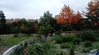 Bed & Breakfast Au Bois De Mon C?ur - Chambres D'h�tes