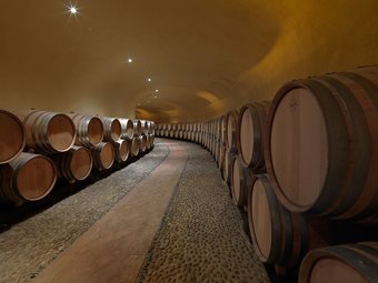 Agroturismo Agriresort Tenute Ruffino