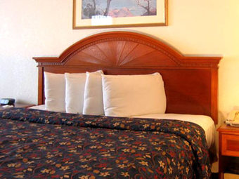 Holidays Golden Glades Boutique Hotel