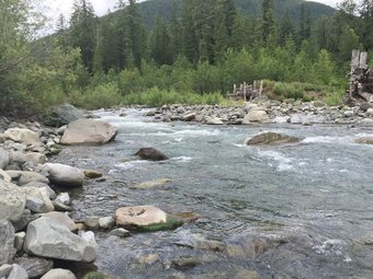 Mt. Baker Lodging Cabin 16 ? Hot Tub, Pets, Sleeps 4! By Mbl