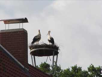 Apartamentos Ferienwohnung Zum Storchenblick