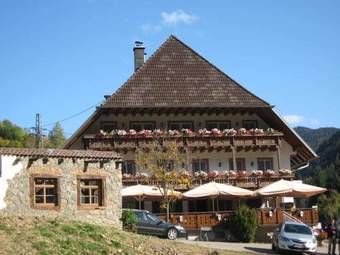 Hostal Landgasthaus Gr�ner Baum