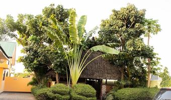 Hotel Msafiri Lodge