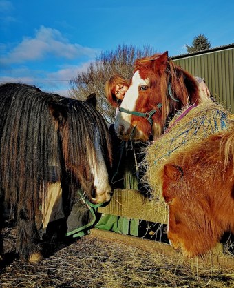 Balloch O'dee - The Ranch House