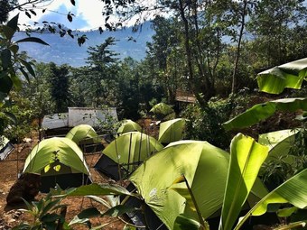 Camp David Kigwema