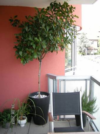 Apartamentos Appartement Am Salamanderpark