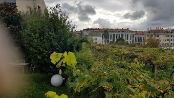 Apartment With One Bedroom In Porri�o, With Enclosed Garden - 23 Km From The Beach