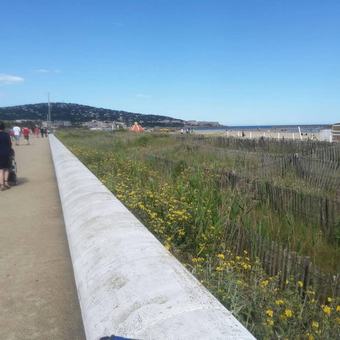 Ver fotos