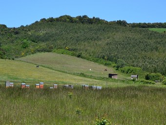 Villa Domaine La Goutine - Gite La Goutine