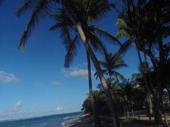 Apartamento Studio In Le Moule, With Enclosed Garden And Wifi