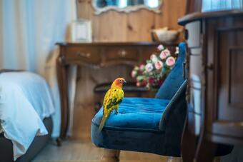 Lalala The Pretty Hyupjae Pension