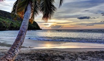 Bungalow With One Bedroom In Le Moule, With Enclosed Garden And Wifi