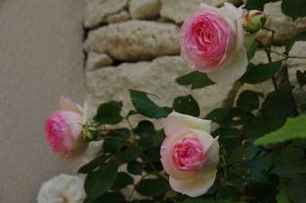 Bed & Breakfast Bastide Des Jardins