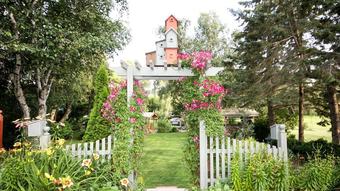 Nap N Nosh Bed And Breakfast