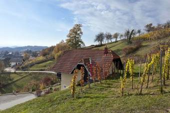 Vineyard Cottage Krivic