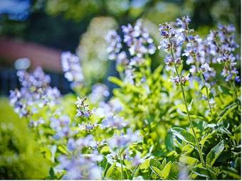 Hotel Bioenergy Resort Salinera