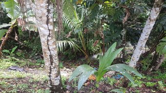 Hotel Chez Lauvineth