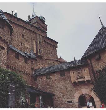 Gite Magnolia Chatenois