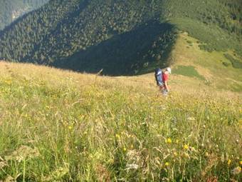 Hostal Penzion Tatras