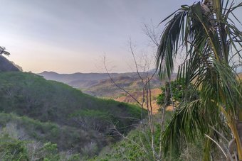 Hotel Oyo 2823 Artati Bungalows And Restaurant