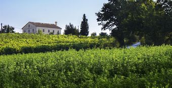 Apartment With One Bedroom In Provincia Di Ancona, With Wonderful Mountain View, Pool Access And Wifi