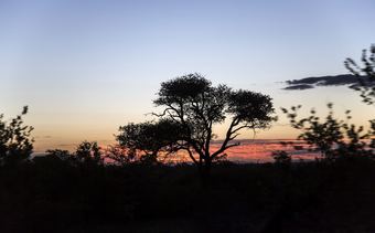 Simbavati Trails Camp