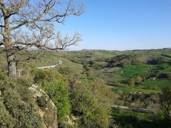 Agroturismo Agriturismo San Benedetto